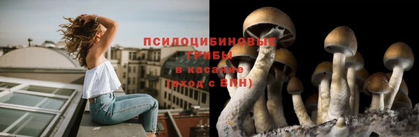 Альфа ПВП Верея