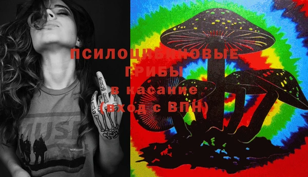 индика Верхнеуральск