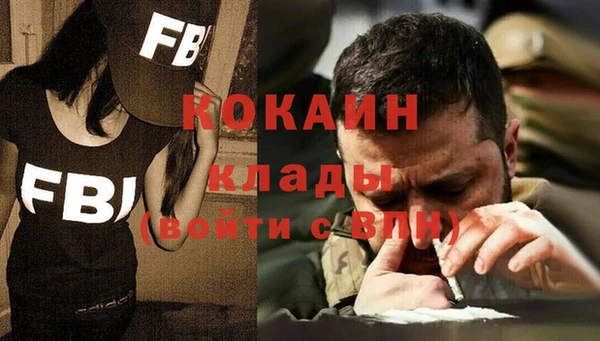 Альфа ПВП Верея