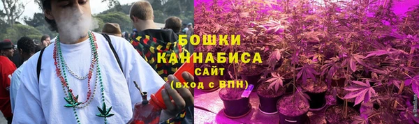 Альфа ПВП Верея