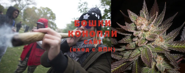 индика Верхнеуральск