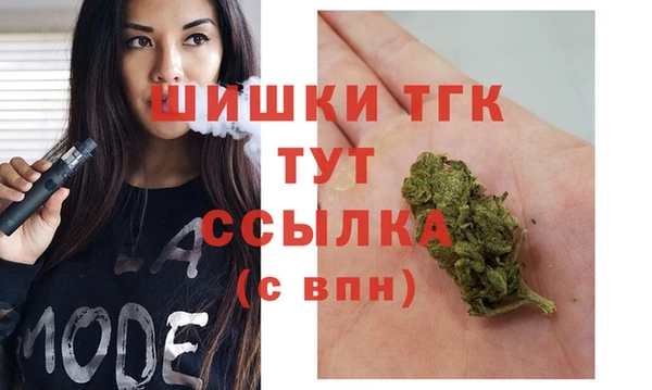 2c-b Бородино